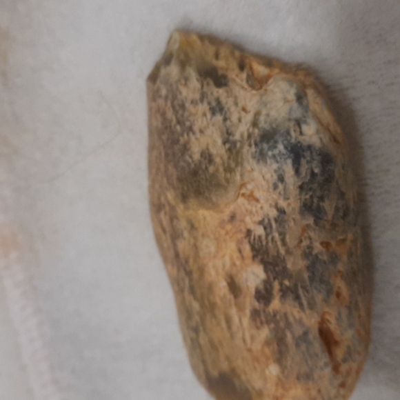 Petrified wood (fossilized wood) - Picture 5 of 7